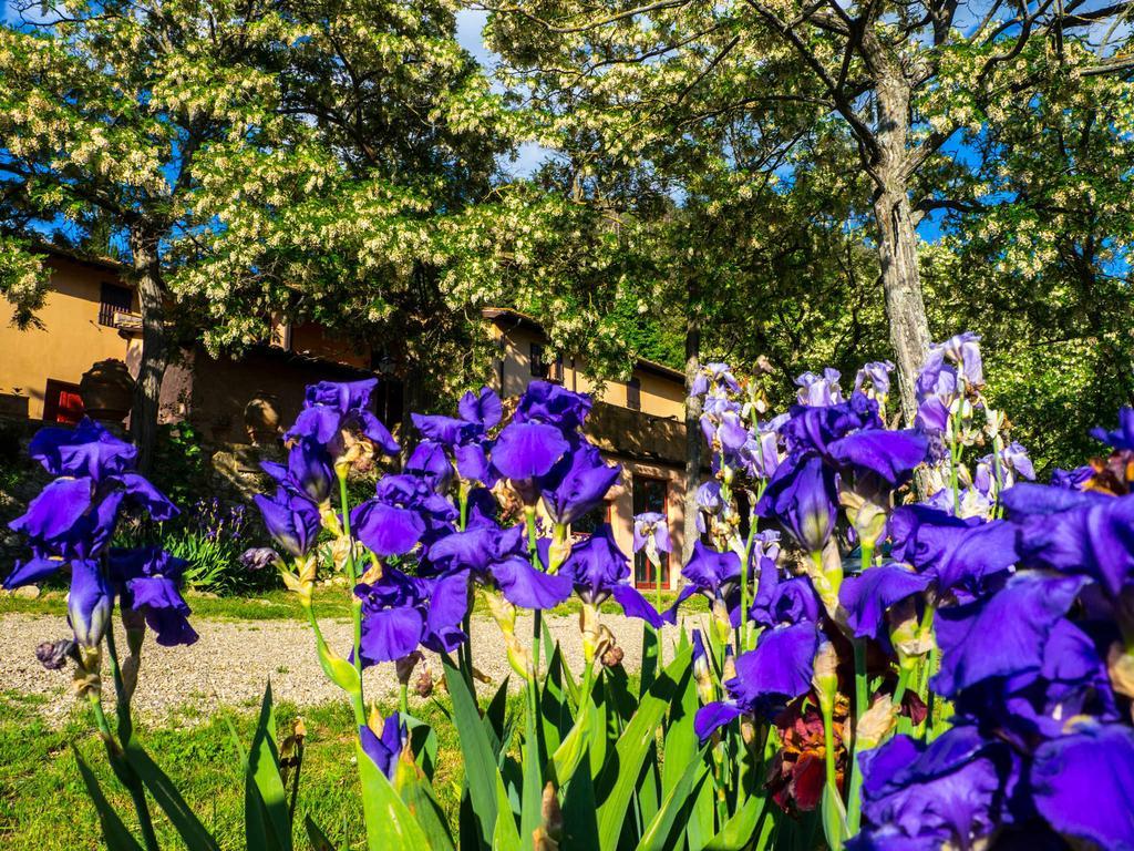 Agriturismo Verde Oliva Villa Bagno A Ripoli Luaran gambar